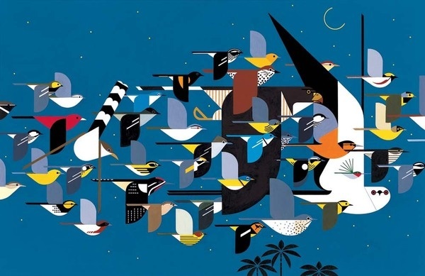 Animalarium: Sunday Safari – Modern birds - Charley Harper #birds #illustration #flight