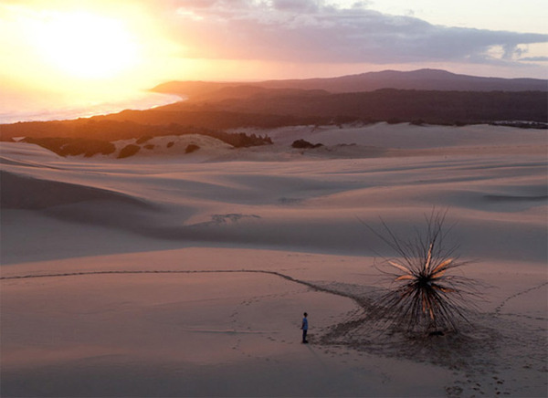 Giant Tree Branch Sculpture Installed at Croajingolong National Park by Corey Thomas #sunset #photography #sculpture #nature