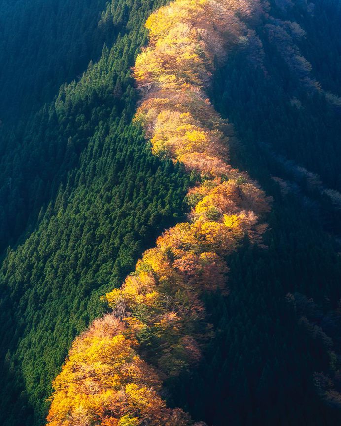 Colorful Autumn in Japan: Landscape Photography by Daisuke Uematsu