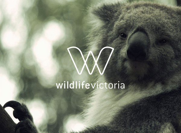 Wildlife Victoria on Behance #logo