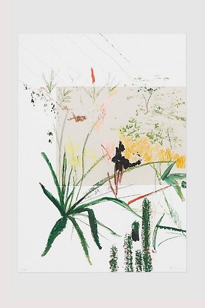 alicia galer