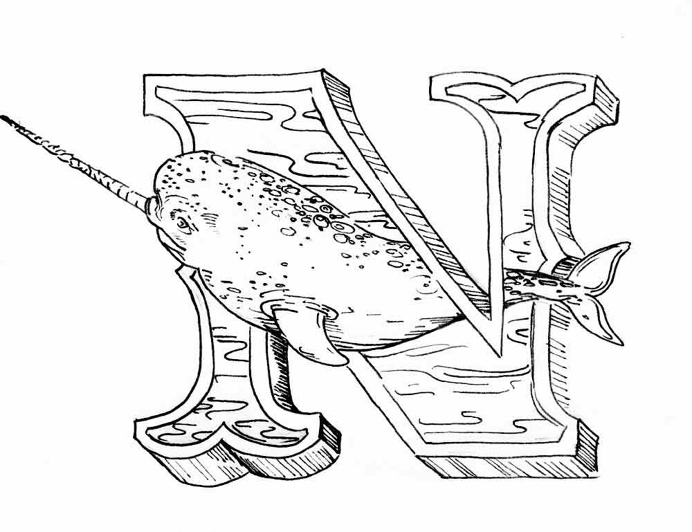 Narwhals are real. #n #narwhal #Alphabet #micron #letter #poster #lettering #pen #illustration