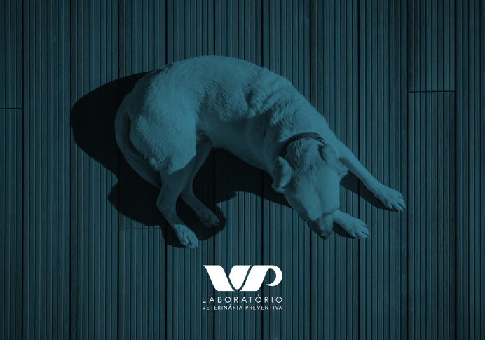 #logo #preventive #veterinary #animal