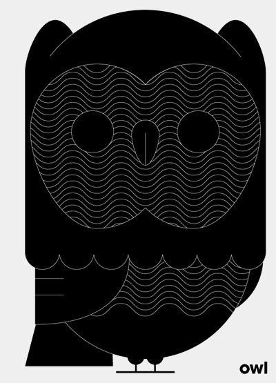 Owl. #owl