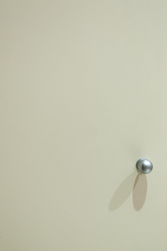 The Fly #optical #handle #wardrobe #rico #photo #effect #photography #fly #original #david
