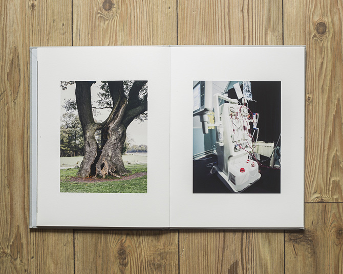 #book #finitude #photography #tree #machine #nature #editorial #foam