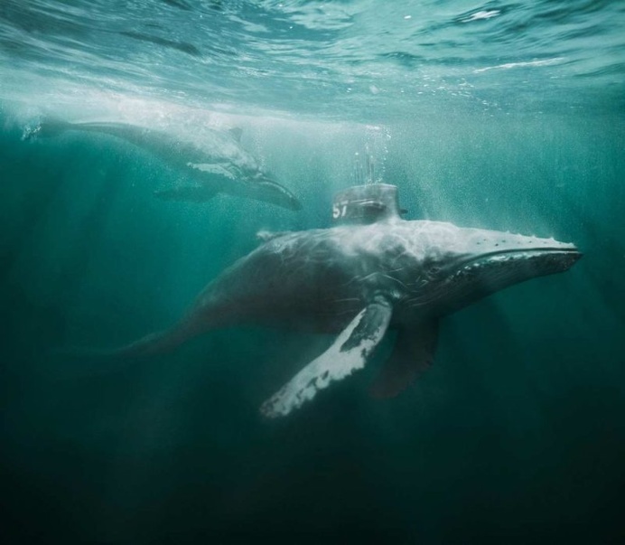 Creative Photo Manipulations by Lorett Foth