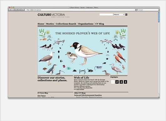 Culture Victoria Website | SUBFAUNA / Bench.li #birds #illustration #web #grey