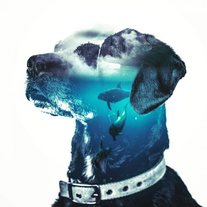 Dreamlike Multi Exposure Photo Manipulations by Paul Haag
