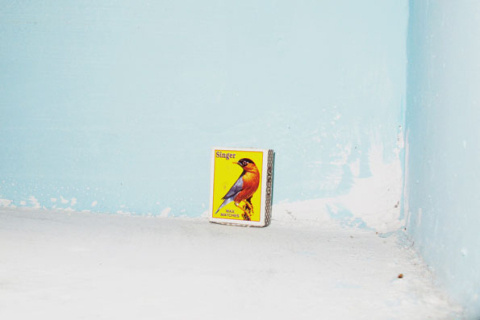 Alexis Vasilikos | PICDIT #photo #photography
