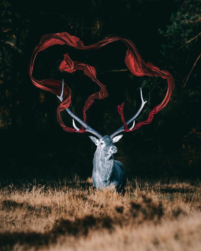 Dreamlike Photo Manipulations by Gabriel Avram
