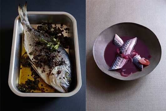 Editorial #marie #pierre #fish #photography #morel
