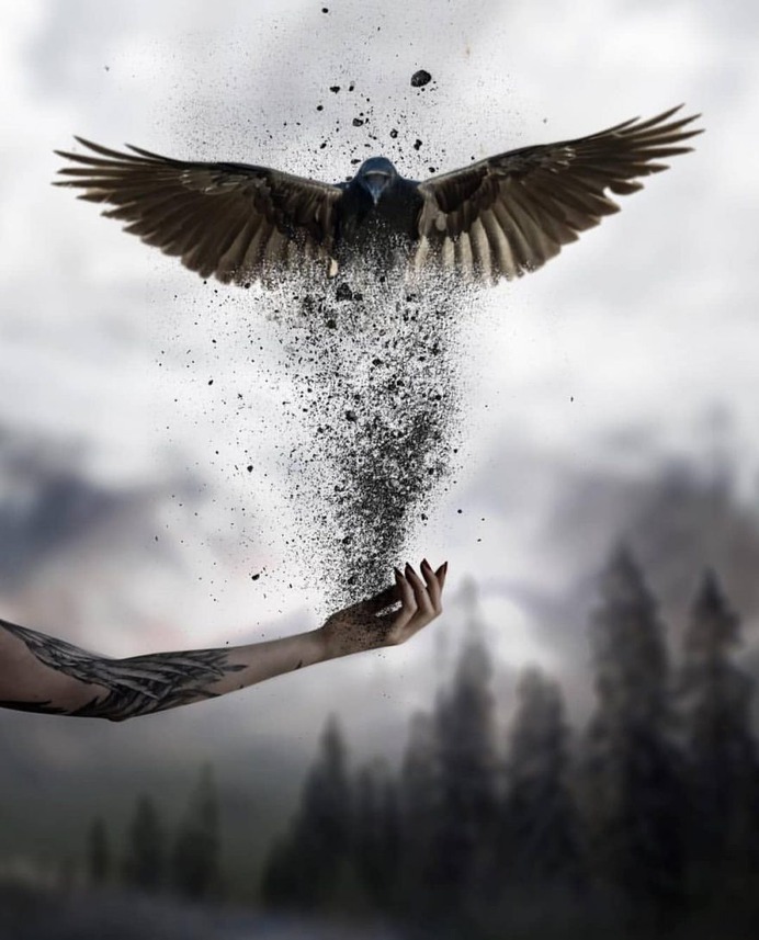 Creative and Dreamlike Photo Manipulations by Natacha Einat