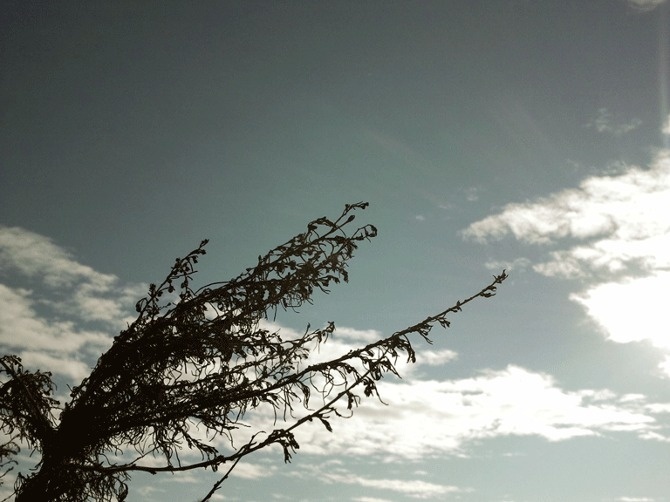 LA, 2012. #losangeles #sky #malibu #USA #cityscape