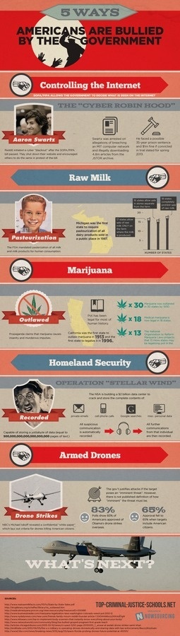 5 Ways Americans are Bullied by the Government #infographic #design #graphic