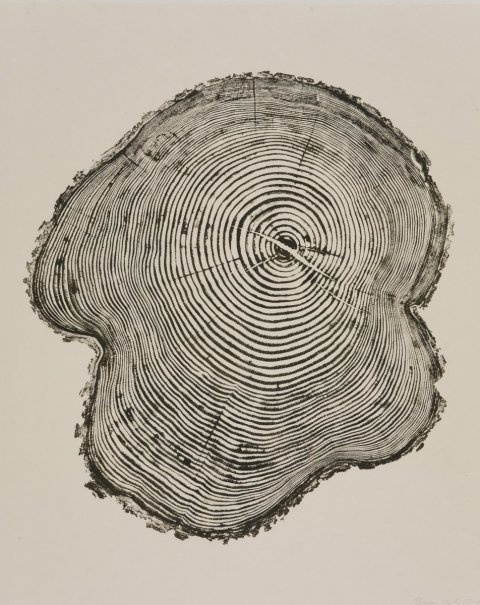 Bryan Nash Gill | PICDIT #design #drawing #art