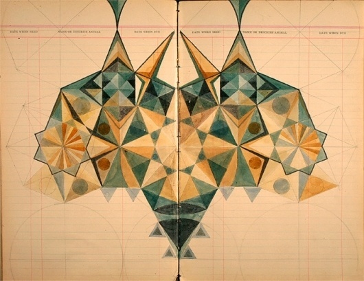 void() #process #sketch #geometric #drawing #mathematical #work