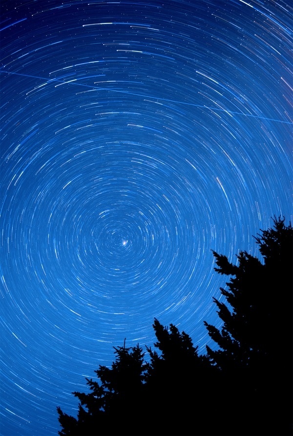 August Startrails Circa 1983 The Photo Roll of Owen Perry #space #star #trails