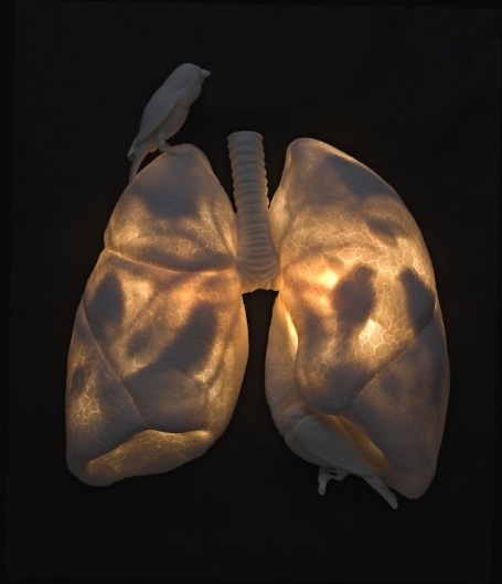 Don't Panic > Magazine > Kate MacDowell | An endangered world rendered in porcelain #photo