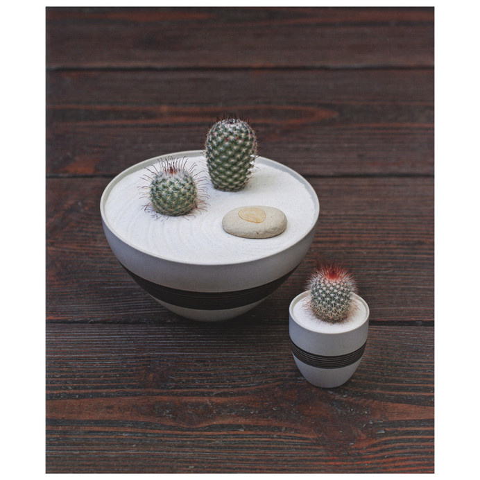 The Plant Recipe Book #design #bowl #product #art #cactus #plant