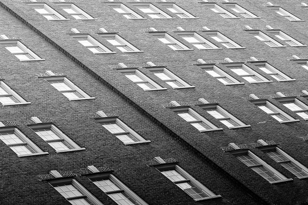 Darren LoPrinzi #photography