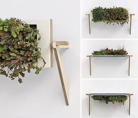 nadeau06.jpg 550×472 pixels #planter