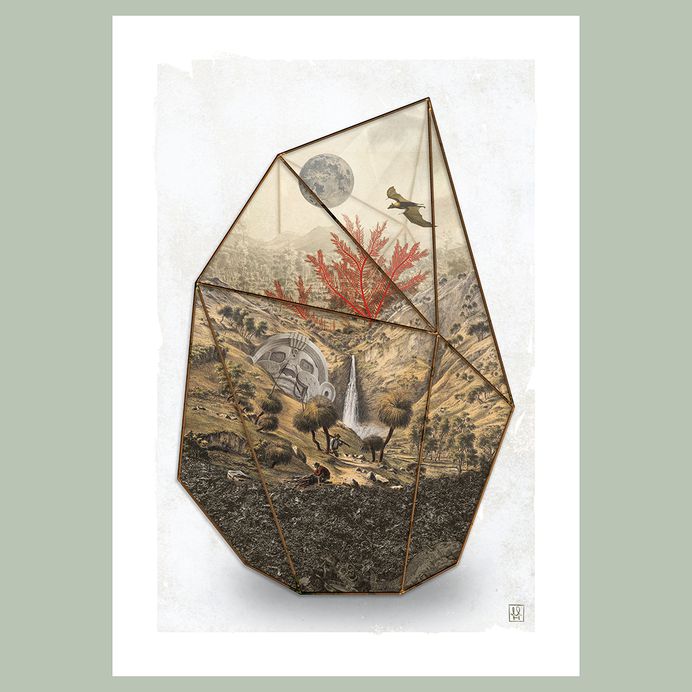 Mads Rahbek Hougaard, Graphic Designer - Terrarium