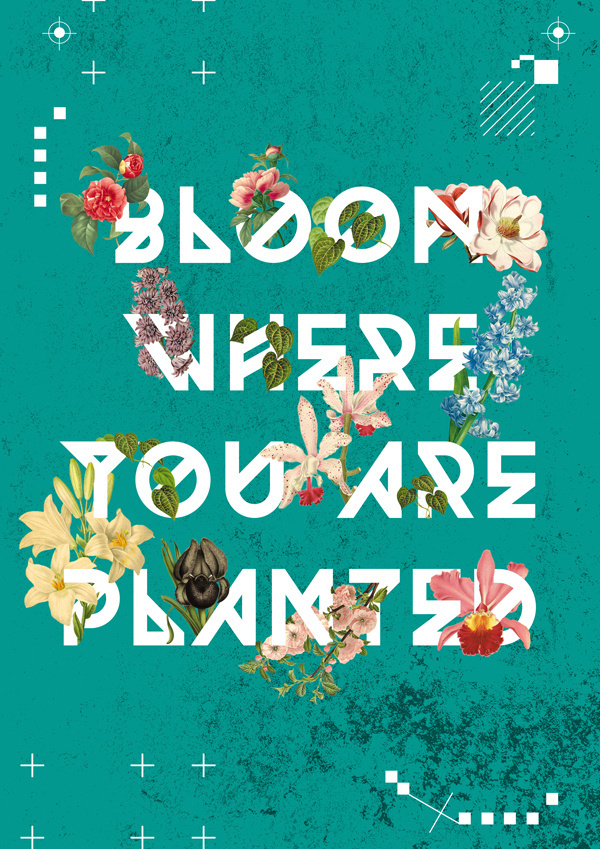 About the author of this post #type #poster #typography