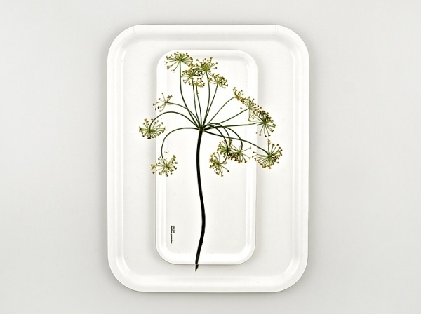 Identity | Stockholm Design Lab #flower #tray #lab #stockholm