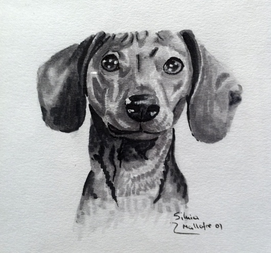 Rotulador anterior 2009 | Silvia Mallofre #teckel #silvia #mallofre #illustration #daschund #dog