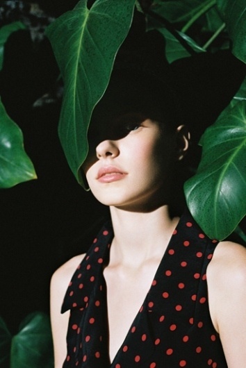 Urban Outfitters Spring : WAI LIN TSE #green #urban #tse #wai #lin #photography #outfitters #plant