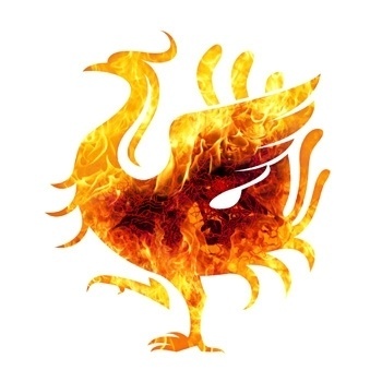 ZhenVision Blog #vector #icon #firebird #phoenix #chinese #illustration #texutre #logo #animal