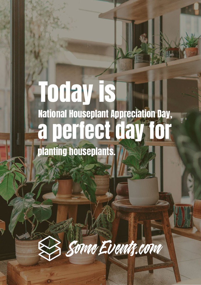 National Houseplant Appreciation Day Messages and Quotes