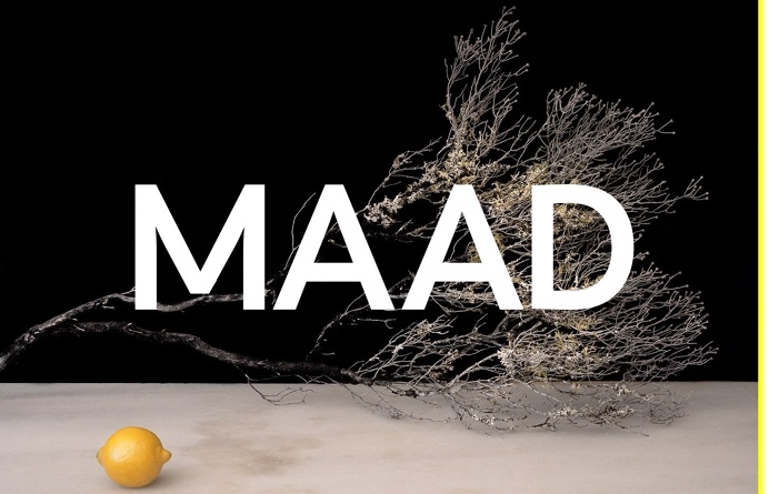 MAAD, inspiration N°281 published on The Gallery in date August 4th, 2015. #website #design