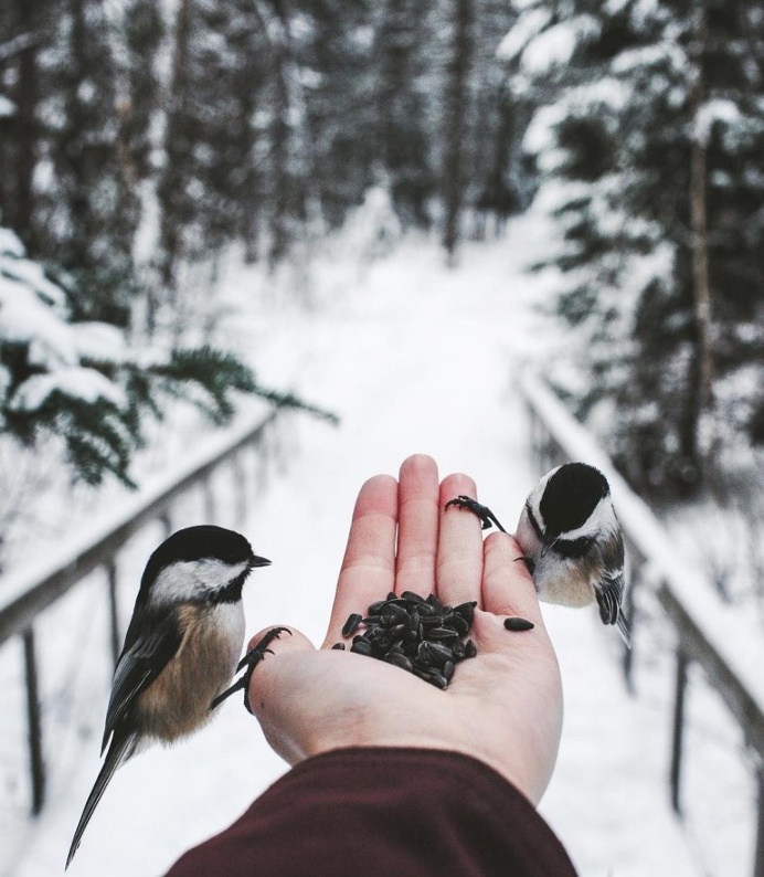 Algonquin Provincial Park