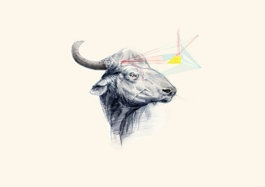 Carlos Ancalmo #illustration #sketch #art