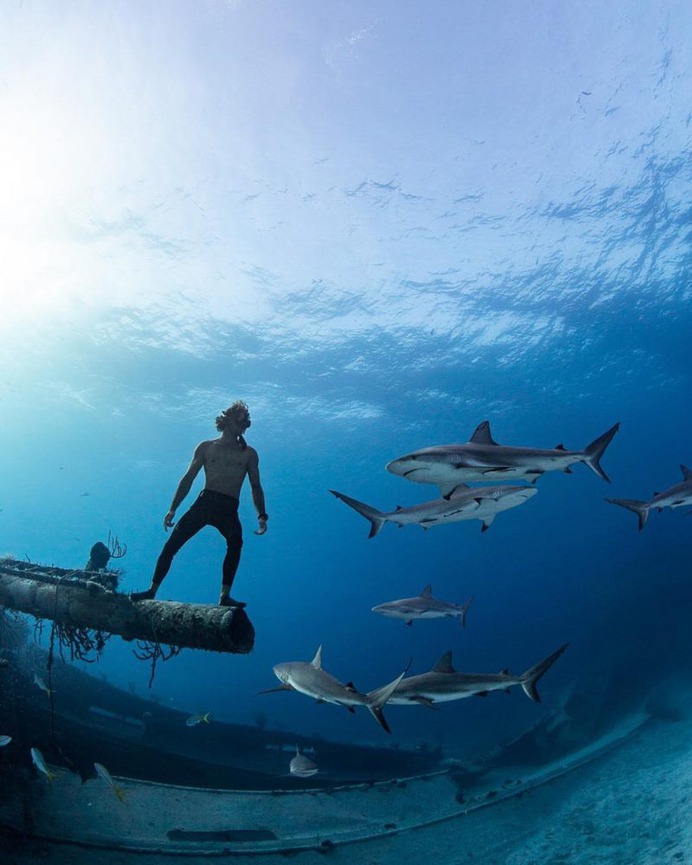 Astonishing Underwater Photography by André Musgrove