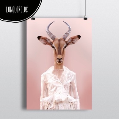 #wild #fashion #poster #minimal #animal Poster realizado por mi para lokoloko.es