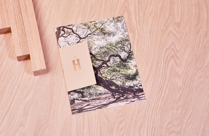 The Heyward Identity - Mindsparkle Mag SDCO Partners designer the Heyward—apartment homes with an urban-light, organic, modern feel, in a garden-green setting. #packaging #identity #branding #design #color #photography #graphic #design #gallery #blog #project #mindsparkle #mag #beautiful #portfolio #designer