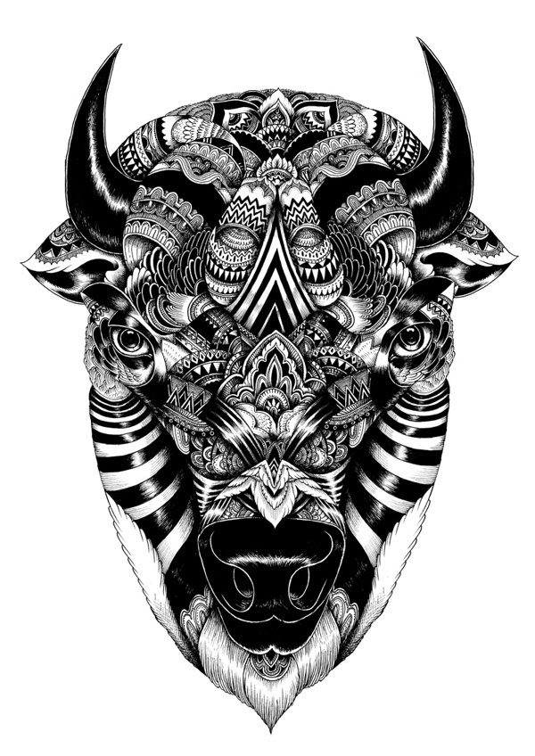 Wildlife part 2 on Behance #iain #wildlife #macarther