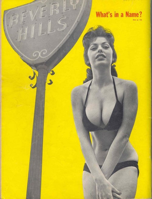 Erotica and Vintage Pulchritudes at fluffyfollies