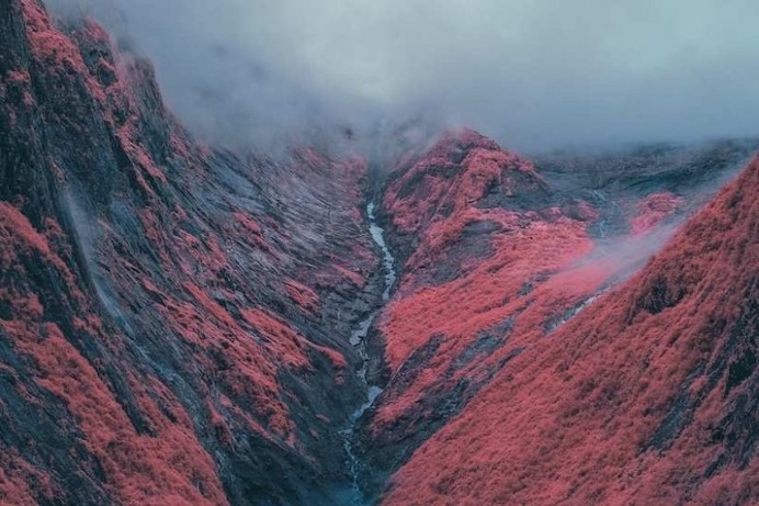 Surreal Infrared Nature Photography by Bradley G Munkowitz