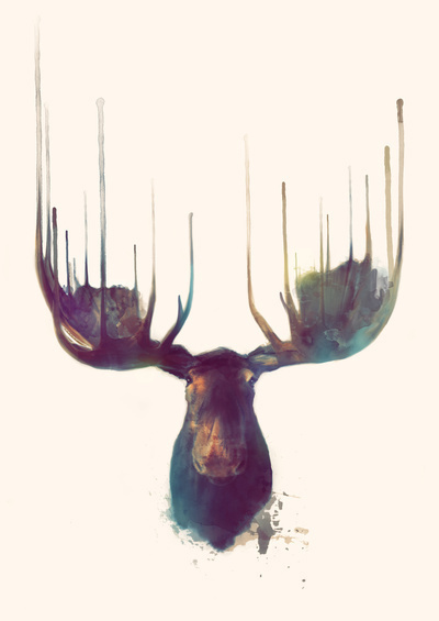 Moose Art Print by Amy Hamilton #deer #print #design #illustration #painting #art