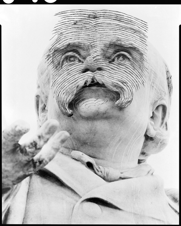 Celestino - Gallo, Scintille #arts #photography