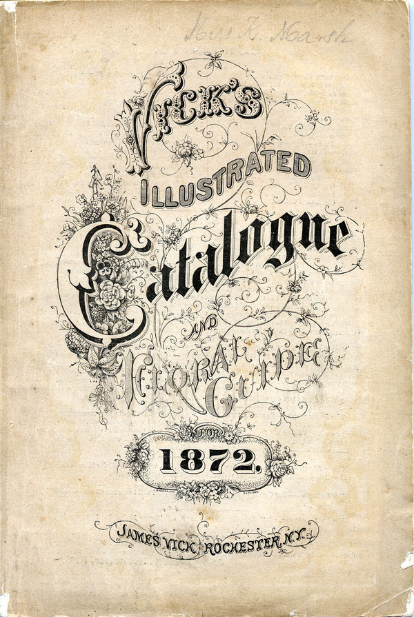 Seed Catalogs from Smithsonian Institution Libraries #typography #calligraphy