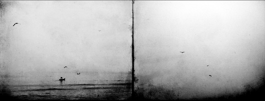 By The Sea, processing by Leda Siloto #birds #sea