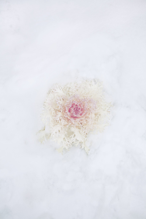 Margaux Roy | PICDIT #photo #photography