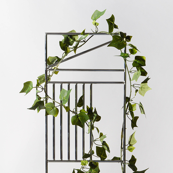 trellis