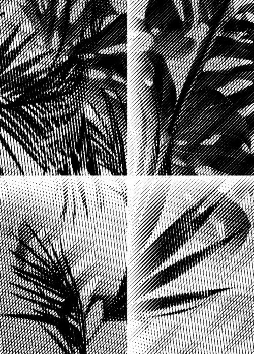 laurajouan http://laurajouan.tumblr.com #graphic #pattern #texture