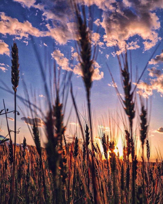 #sunset_madness: Splendid Landscape Photography by Josue Enriquez